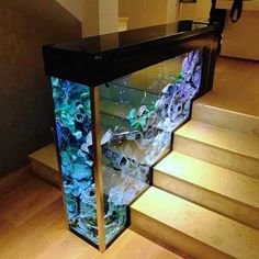 decoracao-com-aquario-na-sala-ou-no-quarto