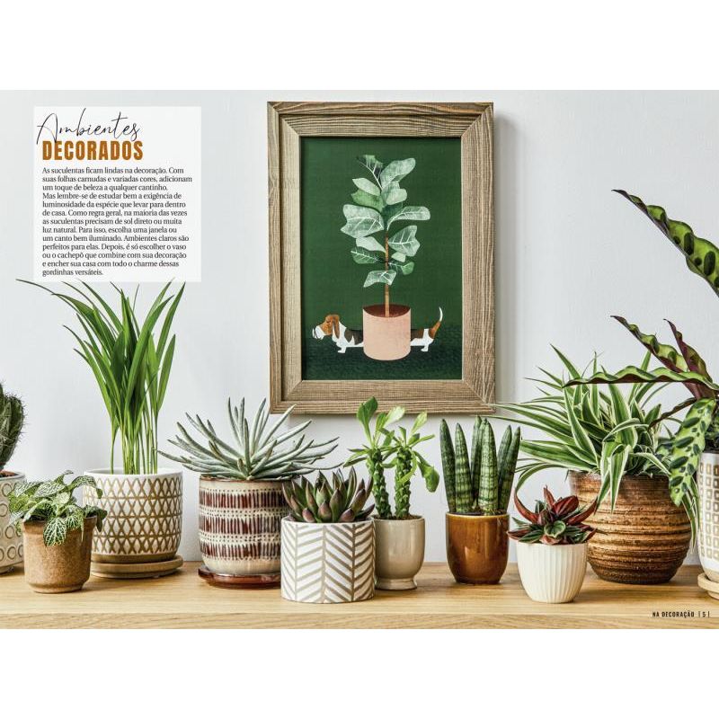 decoracao-com-suculentas-2