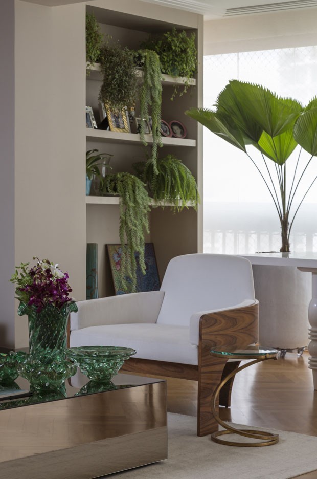 plantas-para-apartamento