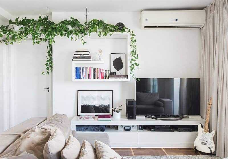 ideias-de-decoracao-com-jiboia