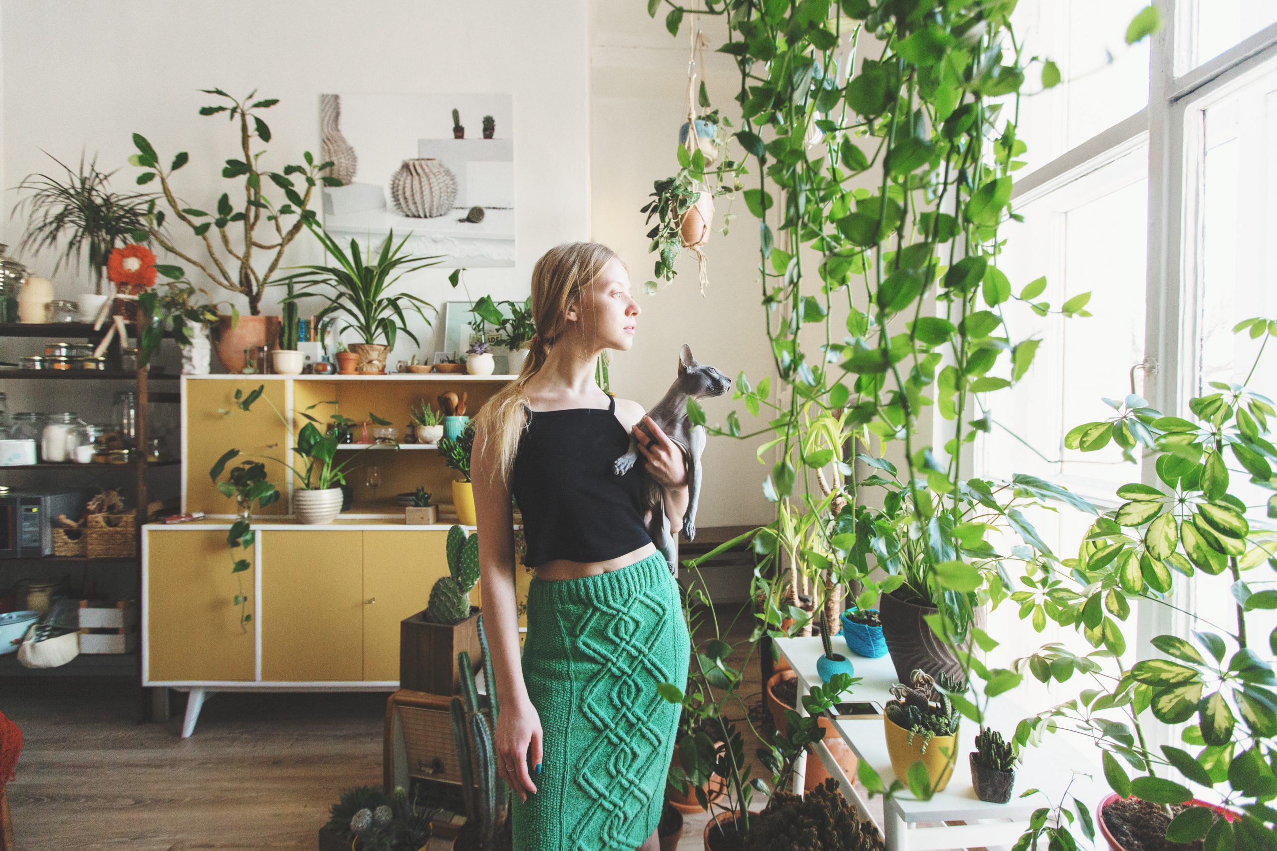 plantas-para-apartamento