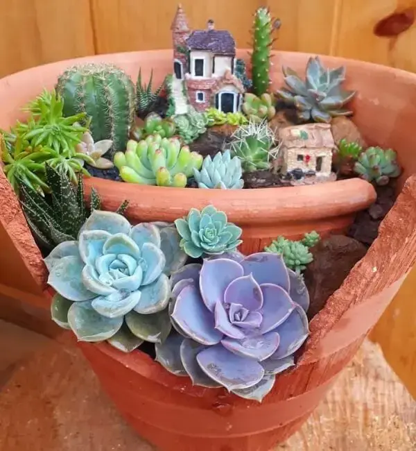 decoracao-com-suculentas-2