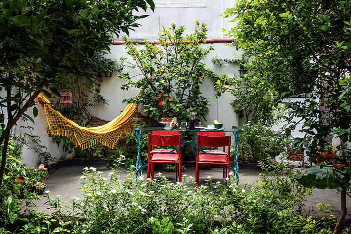 decoracao-de-quintal-com-plantas