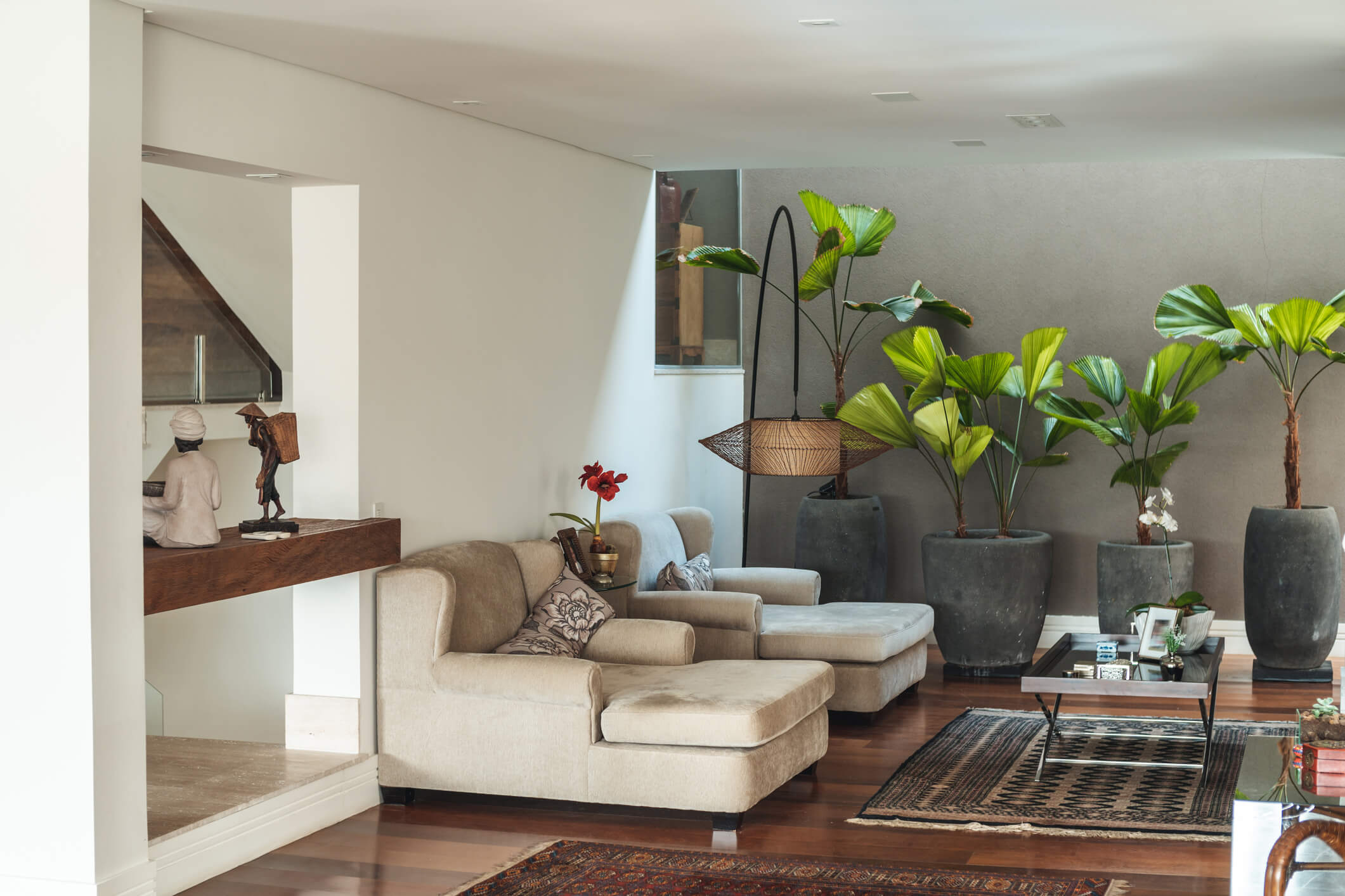 plantas-para-apartamento