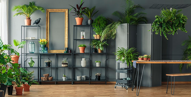 plantas-para-apartamento