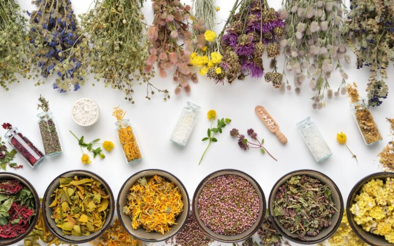 Quer te ruma verdadeira farmácia no seu quintal? Veja quais são as plantas medicinais que todo mundo deveria ter em casa; descubra agora.