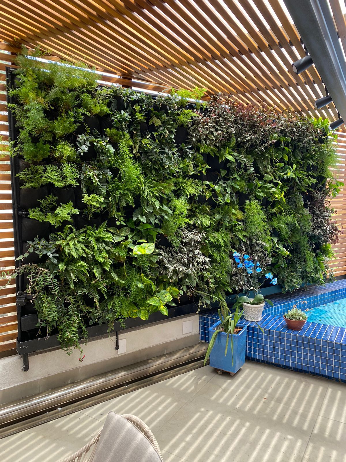 10 motivos para ter um jardim vertical ...