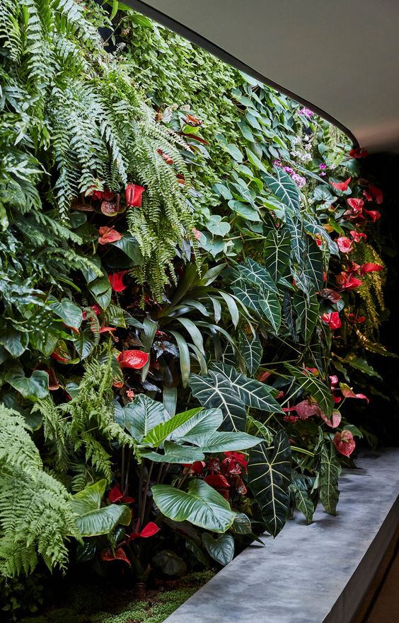 dicas de como fazer um jardim vertical ...