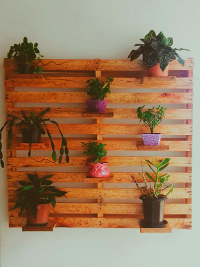 Decoração com paletes: transformando ...