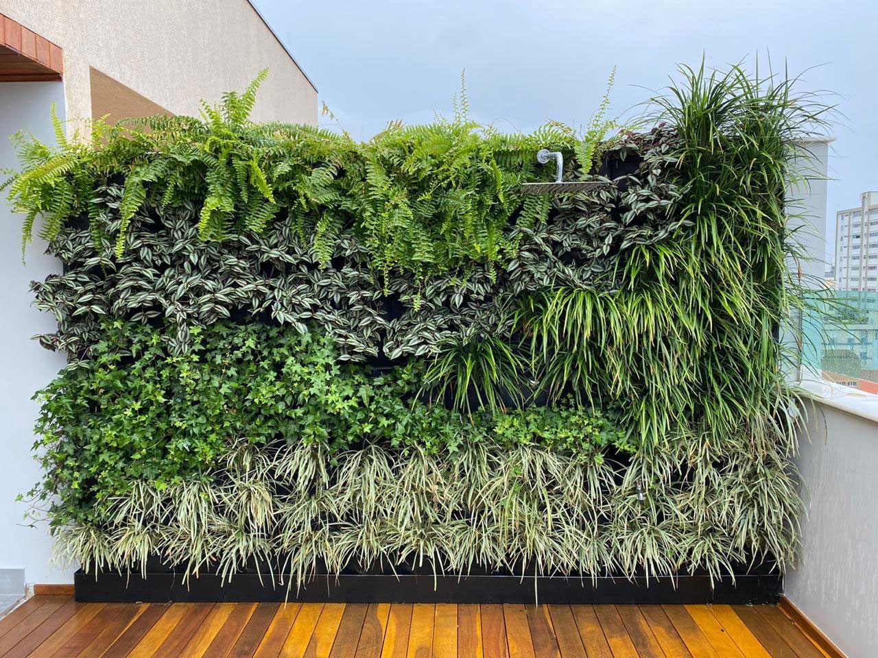 jardim vertical ...