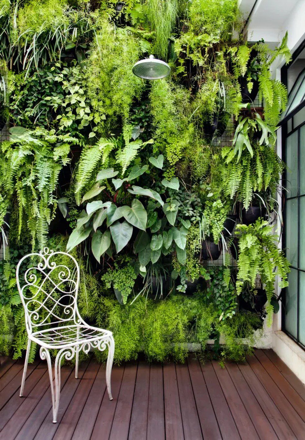 Como fazer um jardim vertical: conheça ...