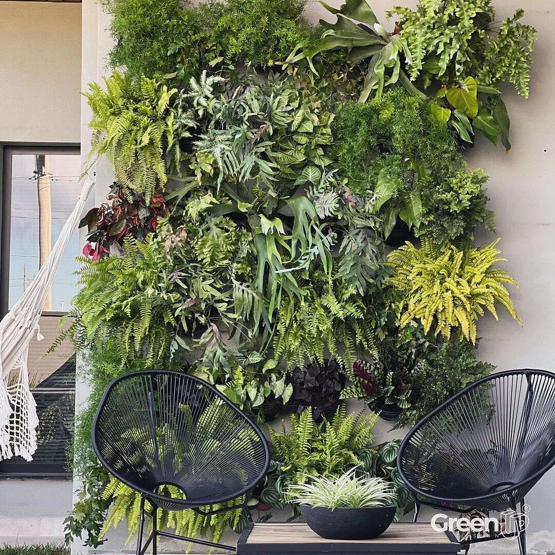 Greenplast para Jardim Vertical 100cm ...