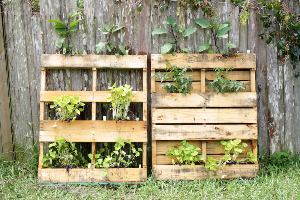 4 dicas para usar pallets no seu jardim ...