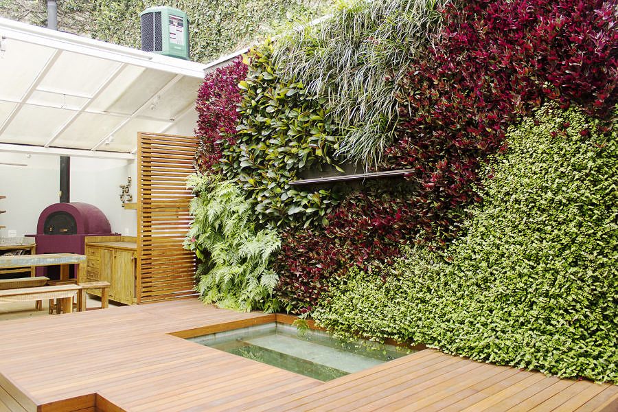 Jardinagem vertical: Como criar um ...