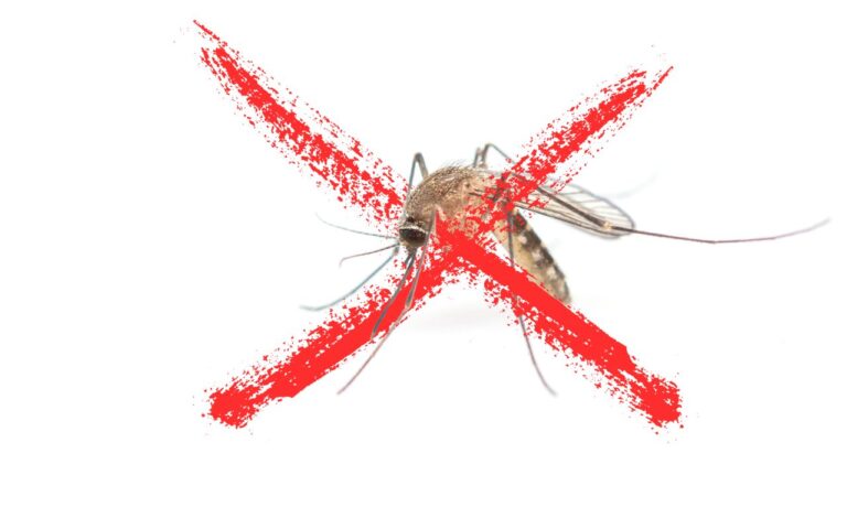 O mosquito da dengue não resiste a quem deixa essa lâmpada em casa; aprenda o jeito certo de se livrar desse problema.