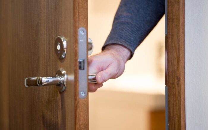 Sinais de que os cupins já estão devorando sua porta sem você perceber; descubra quais sinais revelam essa verdade.