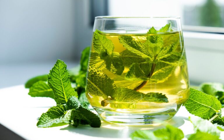 Entenda como ter hortelã fresquinho na sua casa sem nenhum truque ou segredo; veja qual é o procedimento adequado.