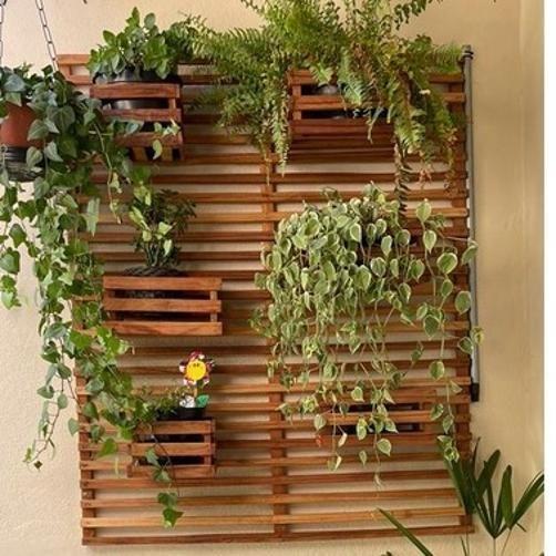 Jardim Vertical Madeira 80X60 Modular 1 ...