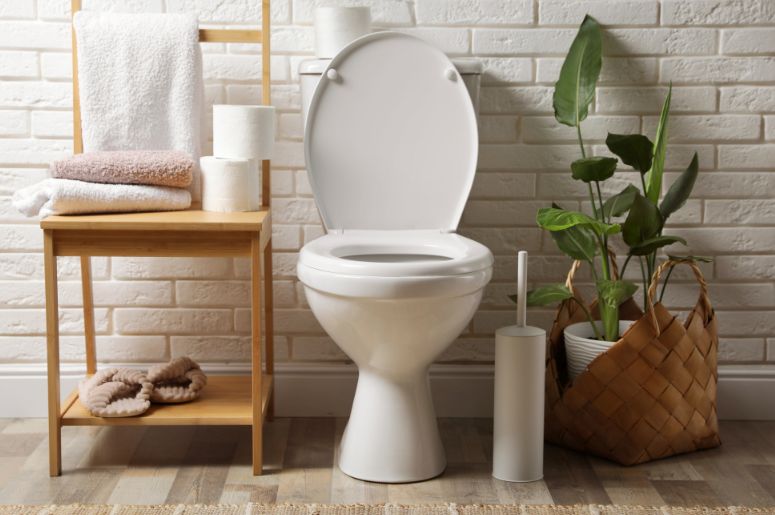 melhores-marcas-de-vaso-sanitario