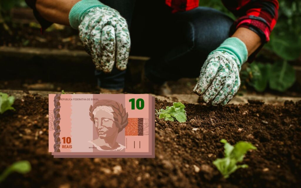 Gaste até R$ 30 para reviver sua horta caseira hoje mesmo