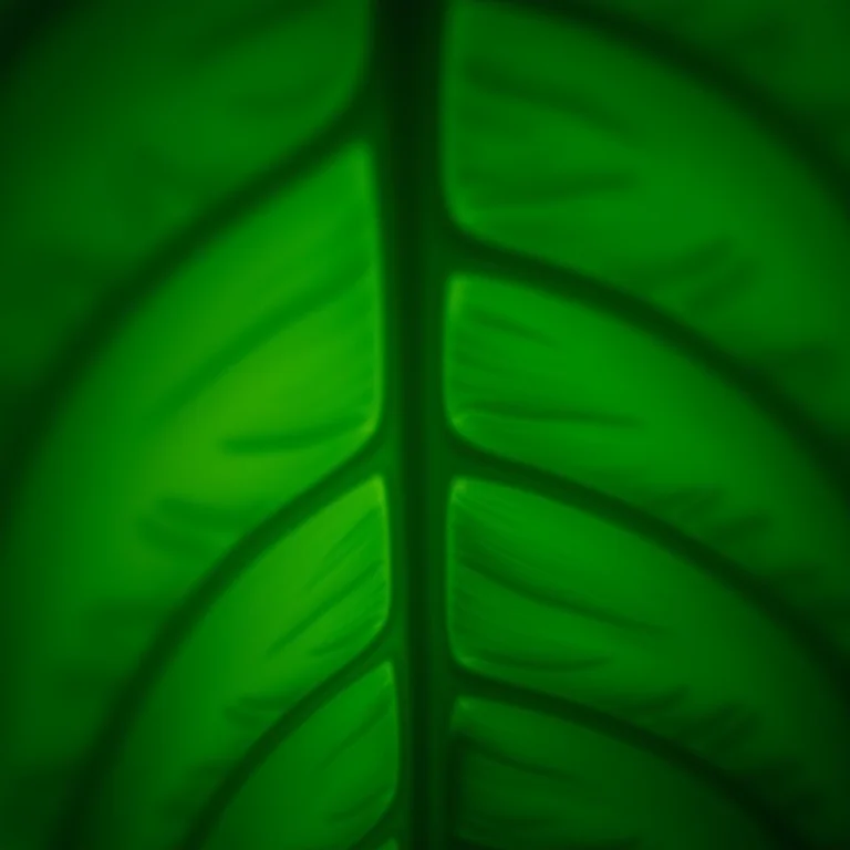 Detalhe das folhas perfuradas da Costela de Adão