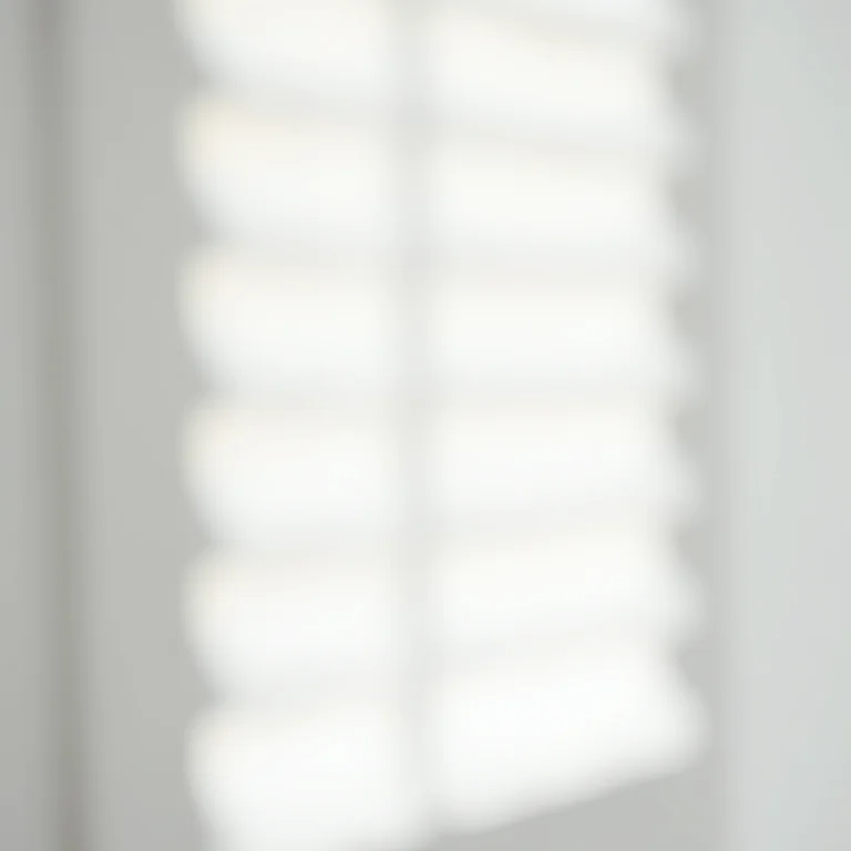 Detalhe de persianas de madeira branca com luz suave